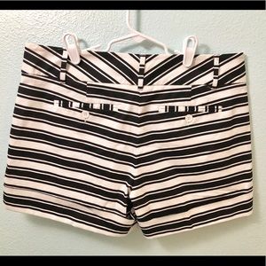 New York & Co. Shorts